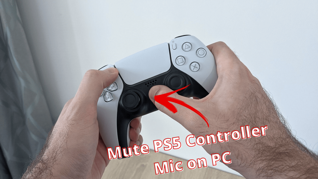 Mute PS5 Controller Mic on PC